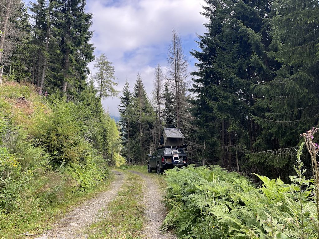 campen im Wald mit dem JoyCee Dachzelt